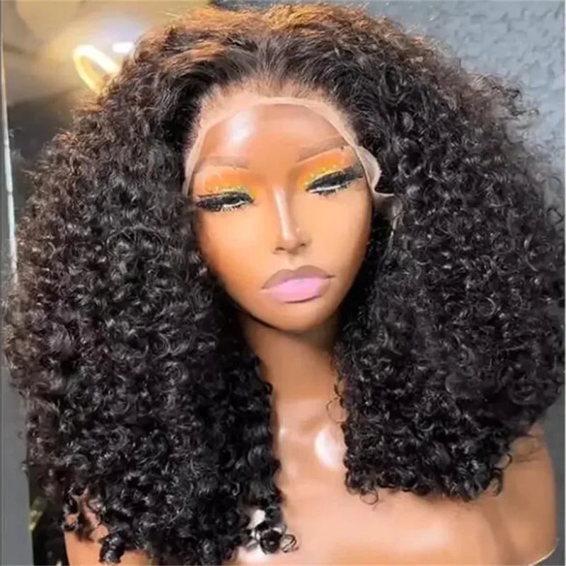 Preplucked Heat Resistant Kinky Curly Lace Front Wigs